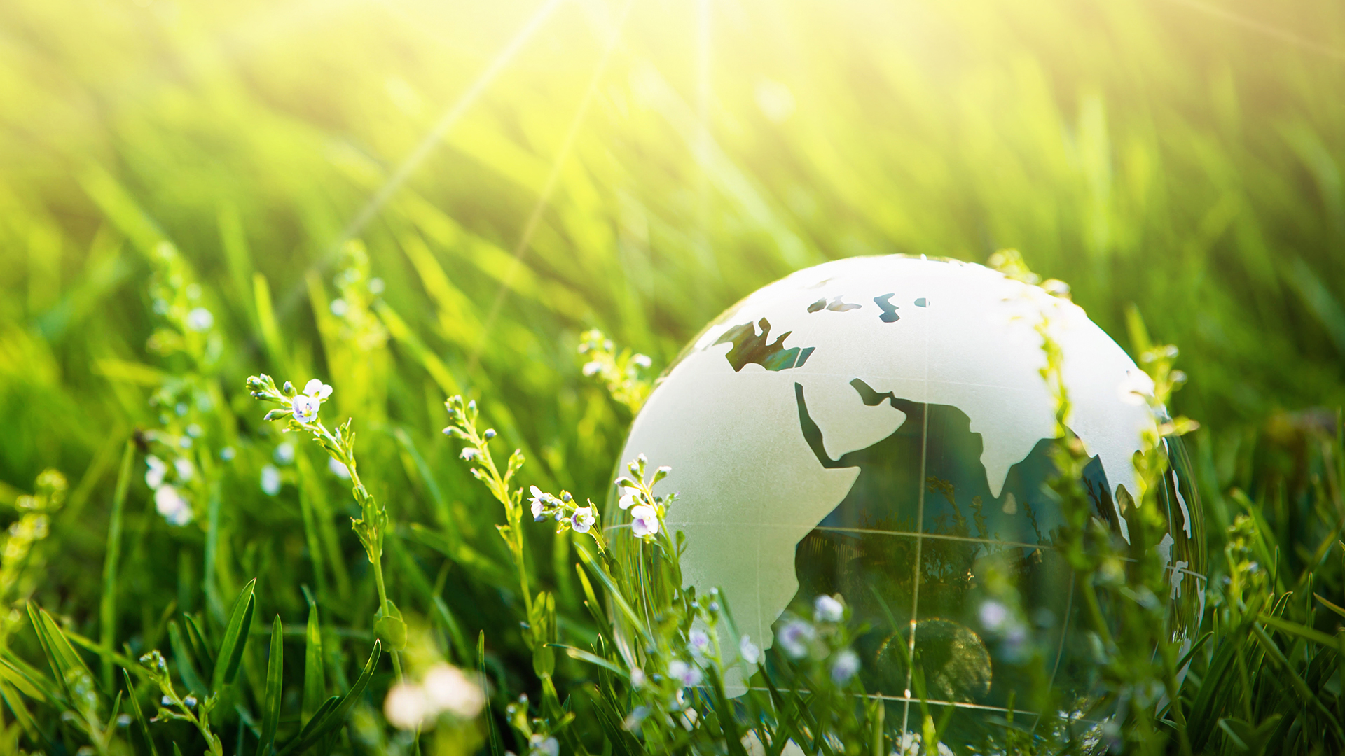 Gesundheit, Sicherheit und Umwelt Gesundheit, Sicherheit und Umwelt