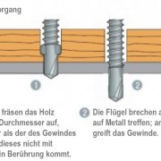 QD-Selbstbohrende-Schraube